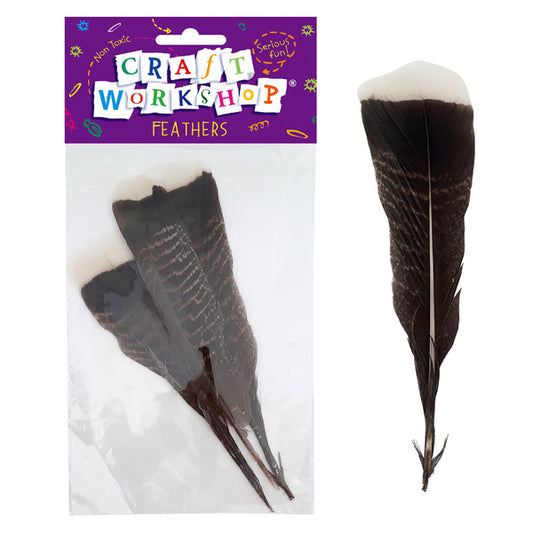 CRAFT WORKSHOP Feathers Pheasant | Mollies Make And Create NZ
