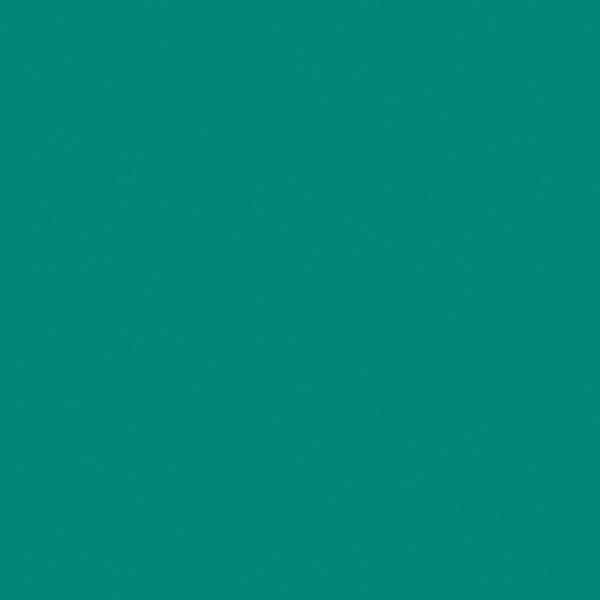 JACQUARD Basic Dye Colours Malachite 14gm / Mollies New Zealand