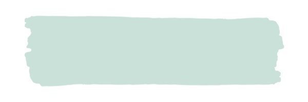 Vintage Paint Robins Egg / Mollies New Zealand