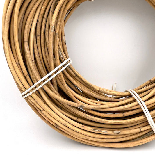 CACING / Mollies New Zealand