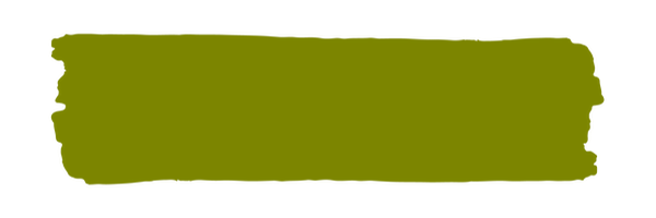 Vintage Paint Olive (ER) / Mollies New Zealand