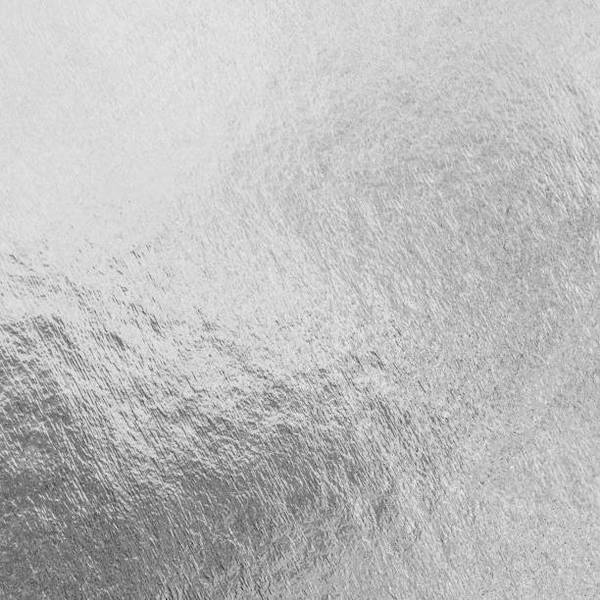 RENESANS Metal Leaf Sheets 100PK Silver / Mollies New Zealand