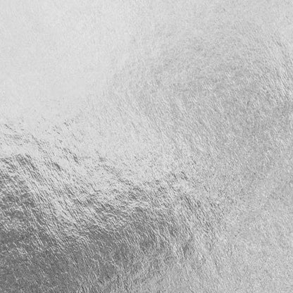 RENESANS Metal Leaf Sheets 100PK Silver / Mollies New Zealand