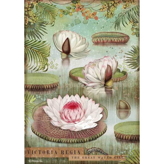 STAMPERIA Rice Paper Amazonia Water Lily A4 / Mollies New Zealand