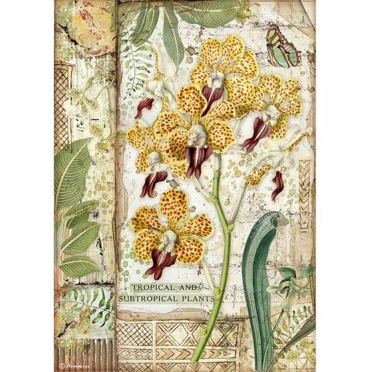 STAMPERIA Rice Paper Amazonia Orchid A4 / Mollies New Zealand