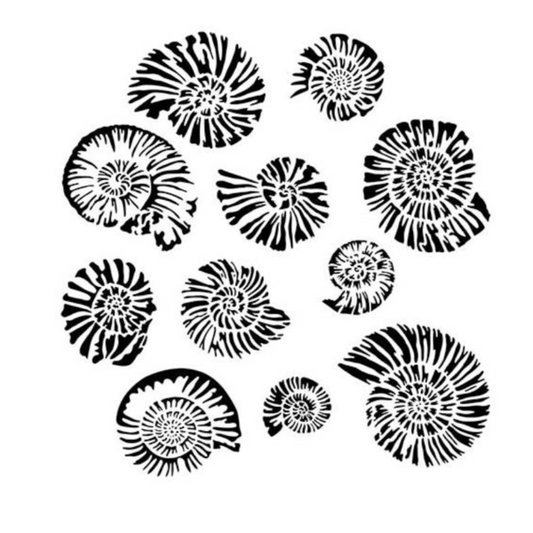 TCW Stencil Nautilus / Mollies New Zealand