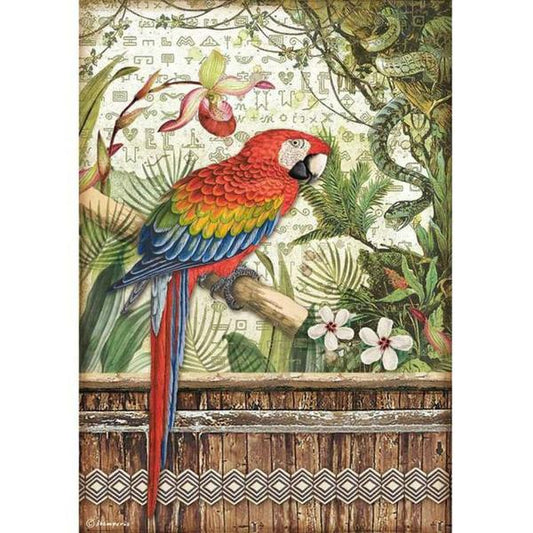 STAMPERIA Rice Paper Amazonia Parrot A4 | Mollies Make And Create NZ