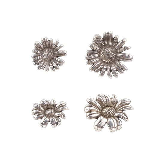 IVAN Daisy Conchos / Mollies New Zealand