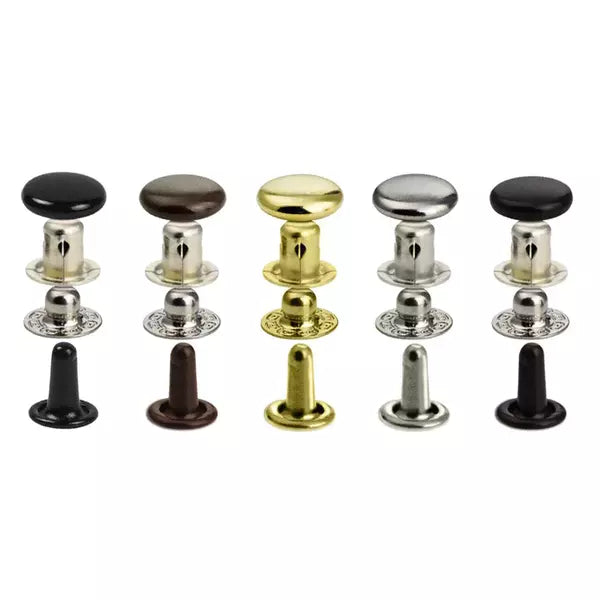 IVAN Press Snaps Segma Line 16 / Mollies New Zealand