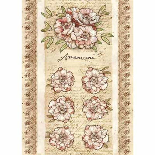 STAMPERIA Rice Paper Anemone A4 / Mollies New Zealand