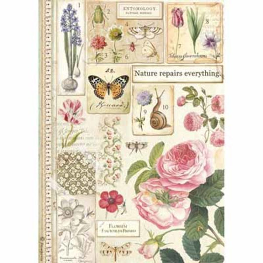 STAMPERIA Rice Paper Botanic A4 / Mollies New Zealand